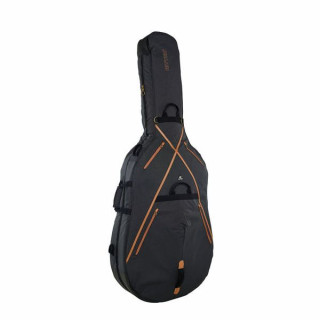 Контрабас Ritter RSS7 3/4 МГБ Ritter RSS7 Double Bass 3/4 MGB