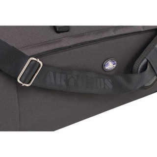 Артонус Джистон Профессиональная скрипка CG Artonus Geeston Pro Violin CG