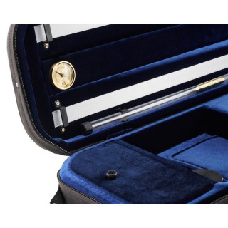 Артонус Джистон Профессиональная скрипка CG Artonus Geeston Pro Violin CG