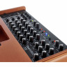 Комбоусилитель Acus One for Bass Wood Acus One for Bass Wood