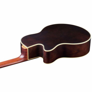 Акустическая бас-гитара Warwick Alien Deluxe 5 NT FL