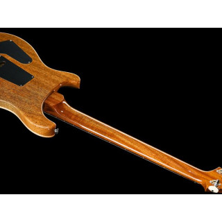 PRS 40-летие Custom 24 TE PRS 40th Anniv. Custom 24 TE