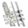 Труба Schilke X3-B Bb-Trumpet Beryllium Schilke X3-B Bb-Trumpet Beryllium