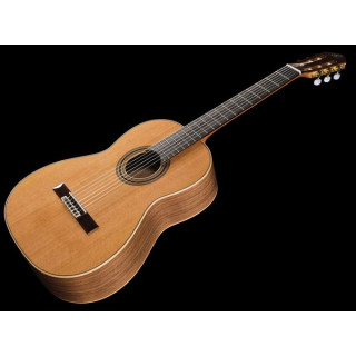 Ортега R20GWN Ortega R20GWN