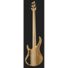 Harley Benton BZ-4000 II NT Набор №578442 Harley Benton BZ-4000 II NT Bundle №578442