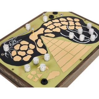 СОМА Эннер Ночная лягушка SOMA Enner Night Frog