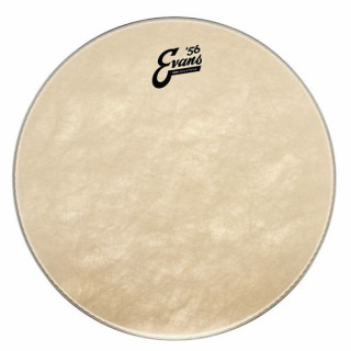 Evans 16" EQ4 Бас-гитара Calftone / Том Evans 16" EQ4 Calftone Bass / Tom