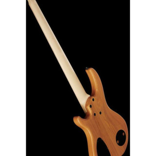 Бас-гитара Dingwall CB3 Combustion 5 Natural Dingwall CB3 Combustion 5 Natural