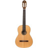 Классическая гитара Ortega R131 Classical Guitar Ortega R131 Classical Guitar