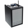 Комбоусилитель Elite Acoustics A1-4 Acoustic Amplifier MKII