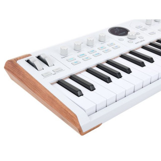 Артурия AstroLab 37 Arturia AstroLab 37