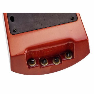 Контрабас NS Design WAV4c-DB-AB NS Design WAV4c-DB-AB Double Bass