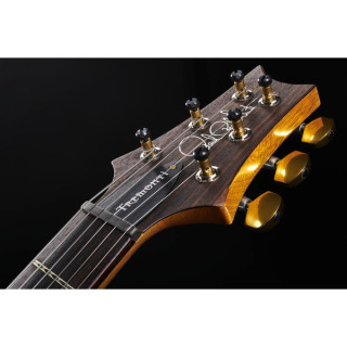 Электрогитара PRS Mark Tremonti CH 10 Top PRS Mark Tremonti CH 10 Top