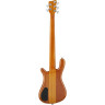Демонстрационный зал Warwick WGPS Streamer S I 5 Warwick WGPS Streamer S I 5 Showroom