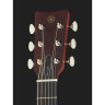 Yamaha FS5 NT Yamaha FS5 NT
