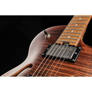 Полуакустическая гитара Harley Benton Aeolus Frost Flame Harley Benton Aeolus Frost Flame