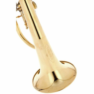 Флюгельгорн Schagerl Hans Gansch Flugelhorn