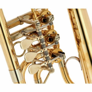 Флюгельгорн Schagerl Hans Gansch Flugelhorn