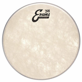 Эванс 10" Телячий Том Evans 10" Calftone Tom