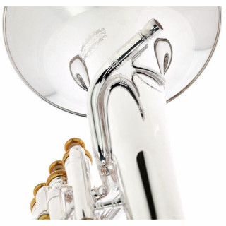 Баритон Thomann BR 801GP+ Superior Baritone