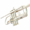 Труба Schilke S42L Bb-Trumpet "Faddis"Silver Schilke S42L Bb-Trumpet "Faddis"Silver