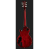 Harley Benton SC-Custom Plus EMG TBF Набор №537502 Harley Benton SC-Custom Plus EMG TBF Bundle №537502