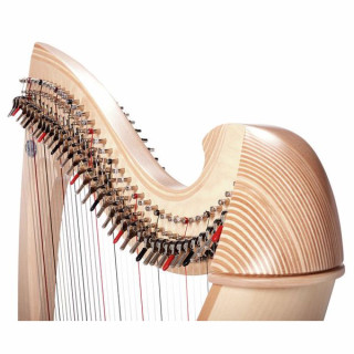 Сальви САЛУНА-Натуральная ЗАДНИЦА Salvi SALUNA-ASS Una Natural