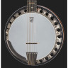 Диринг Бостонское 6-струнное банджо Deering Boston 6 String Banjo