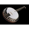 Диринг Бостонское 6-струнное банджо Deering Boston 6 String Banjo
