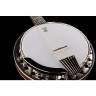 Диринг Бостонское 6-струнное банджо Deering Boston 6 String Banjo