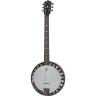 Банджо Deering Boston 6 String Banjo