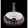 Диринг Бостонское 6-струнное банджо Deering Boston 6 String Banjo