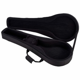 Дело Томанна Айриша Бузуки Thomann Irish Bouzouki Case