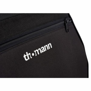 Дело Томанна Айриша Бузуки Thomann Irish Bouzouki Case