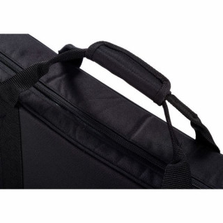 Дело Томанна Айриша Бузуки Thomann Irish Bouzouki Case