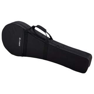 Дело Томанна Айриша Бузуки Thomann Irish Bouzouki Case