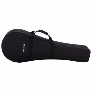 Дело Томанна Айриша Бузуки Thomann Irish Bouzouki Case