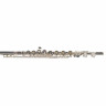 Повторная флейта Sankyo CF 401 Sankyo CF 401 RE Flute