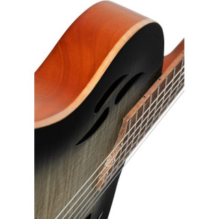 Ortega RTPG-LS1 Ortega RTPG-LS1