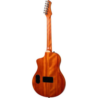 Ortega RTPG-LS1 Ortega RTPG-LS1