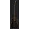 Бас-гитара Marcus Miller M2 TBK 2nd Gen Marcus Miller M2 TBK 2nd Gen