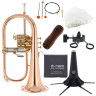 Флюгельгорн с набором Thomann FH 600 G Bb-Flugelhorn Set Thomann FH 600 G Bb-Flugelhorn Set