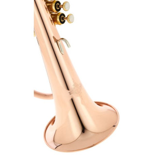 Флюгельгорн Thomann FH 600 G Bb-Flugelhorn Bundle №539365 (Комплект)