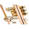 Флюгельгорн Thomann FH 600 G Bb-Flugelhorn Bundle №539365 (Комплект)
