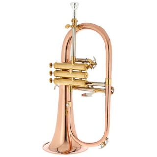 Флюгельгорн Thomann FH 600 G Bb-Flugelhorn Bundle №539365 (Комплект)