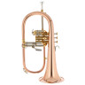 Флюгельгорн Thomann FH 600 G Bb-Flugelhorn Bundle №539365 (Комплект)