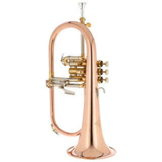 Флюгельгорн Thomann FH 600 G Bb-Flugelhorn Bundle №539365 (Комплект)