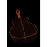 Классическая гитара Cordoba C10 Spruce Cordoba C10 Spruce