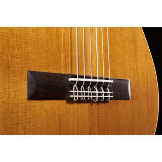 Альгамбра 1C HT 3/4 вкл. Гигантский мешок Alhambra 1C HT 3/4 incl. Gigbag