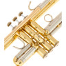 Труба Bach VBS 1 Bach VBS 1 Trumpet
